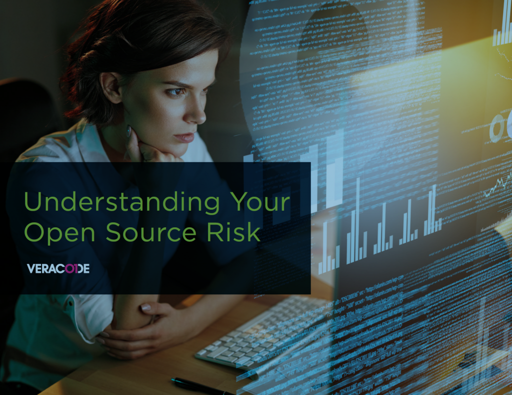 Veracode open source risk